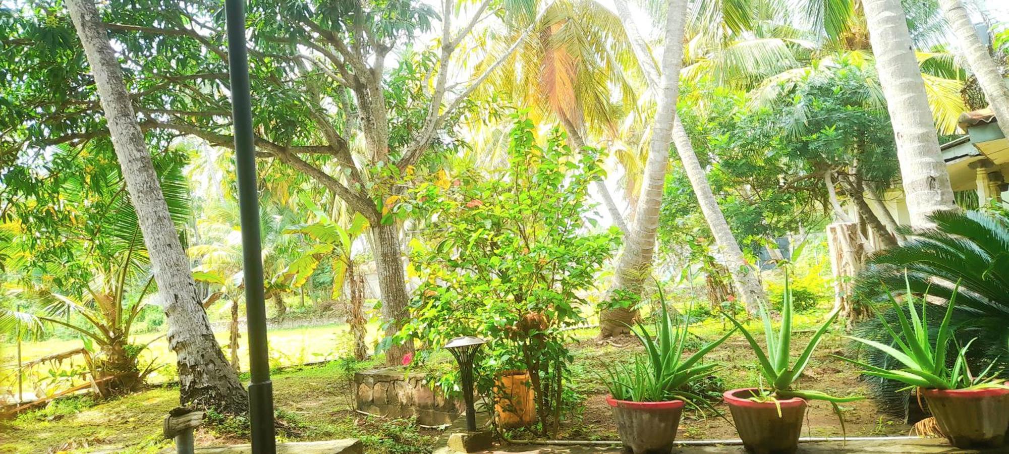 Traveller'S Home Hotel Tissamaharama Rum bild