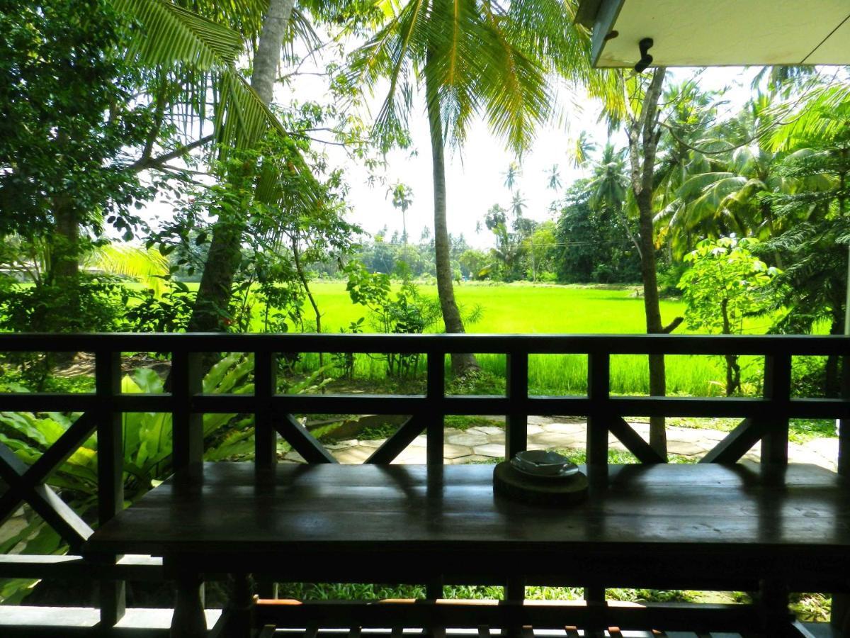 Traveller'S Home Hotel Tissamaharama Rum bild